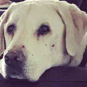 Meet your Posher, Olga